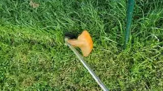 String Trimmer ASMR