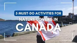 🇨🇦 Canada's Top 5 Wildlife Experiences! 🐻🦅