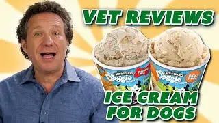 Мороженое для собак от Vet Rates от Nutrition (+ простой рецепт для самостоятельного приготовления)