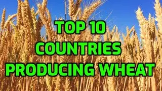 Top 10 Wheat Producing Countries