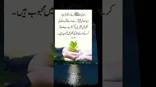 #shorts #short #shortvideo #viralvideo #truthsoflife