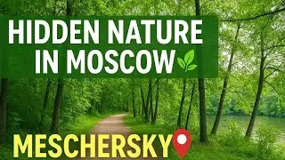 Hidden Nature Spot in Moscow | Meschersky Park Guide 2025 🌲🇷🇺 #russia #moscow #travelvlog #indian 