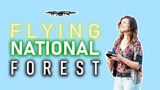 Can You Fly a Drone in US National Forest Lands?
