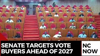Nigeria Senate Proposes ₦5m Fine, Jail Term and 10-Year Ban for Vote Buying Ahead of 2027