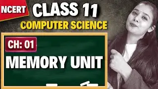 Memory Unit | Class 11 Computer Science