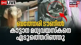 LIVE | Wild Elephant Attack | Elephant Attack Kerala | Wayanad | Sulthan Bathery | Kerala News Today