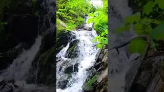 Where is that place? Sounds of a mountain stream Beauty of nature | Шум воды горного ручья #Shorts