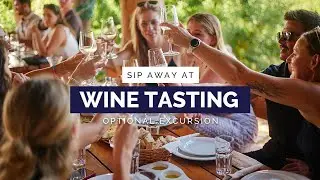 Hvar Wine Tasting