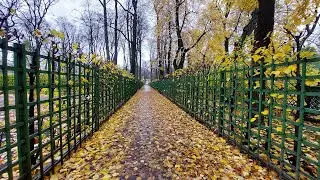 Осенний Петербург &hearts;️ Идем в Летний сад (правда, сейчас он осенний 😉). Наслаждаемся и немного грустим