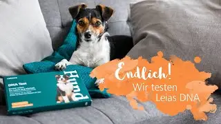 Leia wird getestet 🧬 Große Überraschung beim DNA-Test 😱