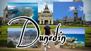 DUNEDIN || View Vlog 2025 || Dunedin Trip || #newzealand #viralvideo #nepalivlog #denishofficial 