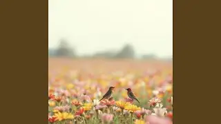 Hey w&ouml;ue