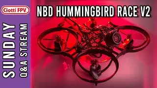 NBD Hummingbird Race v2 is INSANE - #6batteries - Q&A