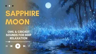 SOFT MELODIES FOR SLEEP & RELAXATION & WISDOM &ndash; OWL & CRICKET