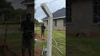 10ft concrete posts & 8ft Chainlink fencing in Kitale - concrete the perimeter to discourage rodents