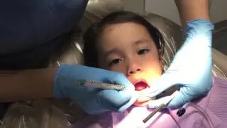 Your Child's First Dental Exam