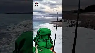 Pesca dalla Spiaggia a bolognese
