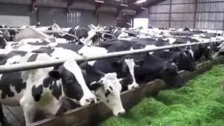 #Amazing Intelligent Technology Smart Farming - Modern Agriculture Heavy Equipment Mega Machines 2 #