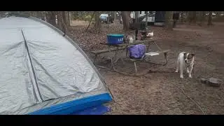 Shepard State Park, Gautier, Mississippi December 26, 2025 9AM