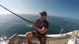 Line type and knots for Hookup Baits