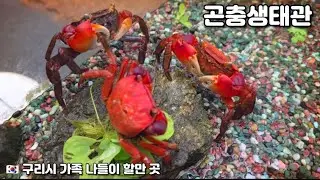 🇰🇷 A trip to the Guri Insect Ecology Center.