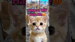 Amazon Hidden Discount Hack! 🤑 #amazon #savemoney #amazonfinds