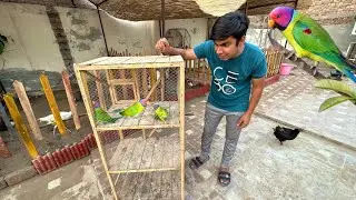 Plum Headed Parrots La Aiy Hum 😍