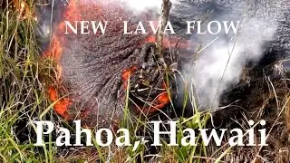 12/19/2014 -- New Hawaii lava flow set to hit Pahoa Marketplace -- Evacuations underway