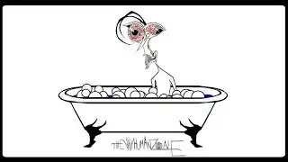 The Whyhuman Zone 7 I Clean The Dirt