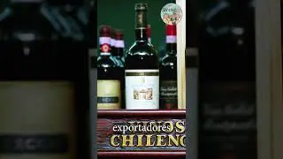Vinos chilenos / Curiosidades de Chile #urckari #geograf&iacute;a #Chile #curiosidades
