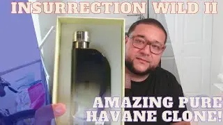 INSURRECTION WILD II ОТ RAYANE TRADITION | НЕВЕРОЯТНЫЙ КЛОН PURE HAVANE!