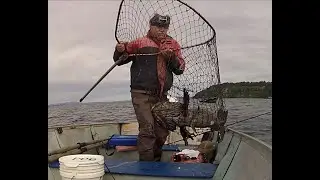 Puget Sound Solo Lingcod fishing, May 3rd
