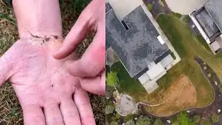 Is your lawn no longer green? This tiny bug could be to blame