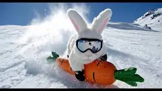 #bobo bunny playing with snow #❄️ bunny 🥕🐇🎨❄️⛄️