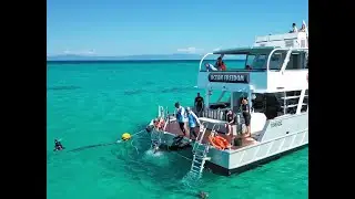 Master Reef Guide Matt&mdash;Our Reef Our Wonder