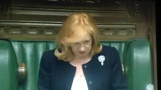 Eleanor Laing clip 1 19 November 2014