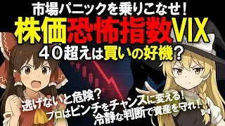 恐怖指数VIXとは？市場パニックで上がる指数 - VIX高騰で市場を見極めろ