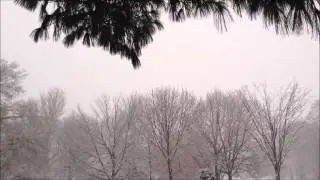 One-Minute Meditation: Snow Falling Fast