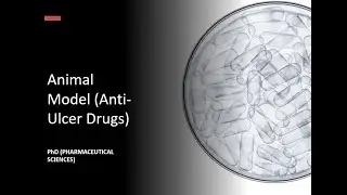 Animal Model (Anti Anti-Ulcer Drugs)#pharmacy#pharmacist#pharmaceutical#mpharmacy#youtube#trending