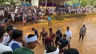 The Bull Race @Keralatourismveo    Soundtrack: POP; Shapes of Things by Michael Lockwood