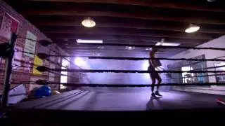 HBO PPV: Hopkins vs. Dawson - Fight Preview