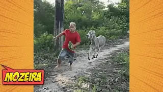OS TOMBOS MAIS ÉPICOS E PATÉTICOS 🤩 TENTE NÃO RIR: MELHORES VÍDEOS ENGRAÇADOS DA INTERNET + MEMES!