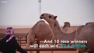 Saudi Arabia Is Crowning 