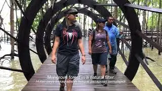 Discovering Pontian: Kukup Island - The Uninhabited Mangrove Forest
