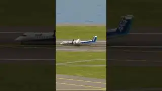 Beautiful Landing by ANA de Havilland | | World of airport #justplanes #happylanding