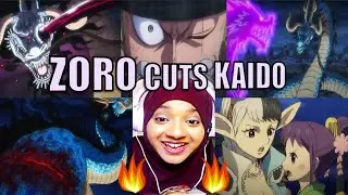 One Piece: Season 24 Episodes 1018 and 1019 Reaction