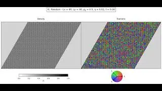 Random initial condition forms a Immobile band with velocity 2 as majority