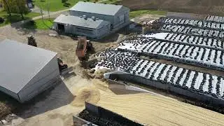 Boerkamp: Corn 2020