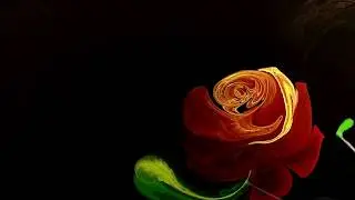 Ebru Art by Olga Kaurova / Magic Flamenco
