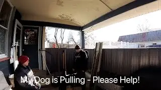 Dog Pulling - FIXED